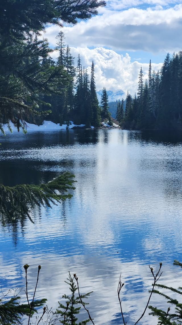 A forest lake in British Columbia
