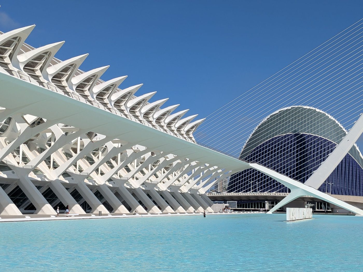 The City of Arts and Sciences in Valencia